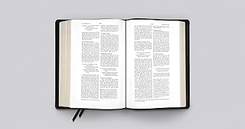 洋書 The HOLY BIBLE English standard version The Holy Bible: English Standard Version: ESV Bibles by